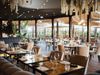 7_primadonna_italian_ristorante_3