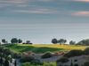 8th_green 44157ba9