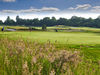 Golf Lodge Drentsche   Golfvakantie Nederland 7
