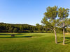 Golf Du Domaine De Manville Hole 14 Green