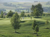 Golfclub Brunnwies Duitsland Golfbaan 2