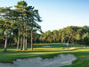 Hardelot   Les Pins_Hole 15_wide