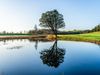 HimmerLand_Golfso