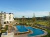 Palmito_Pool_1