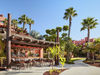 Tivoli_La_Caleta_Tenerife_Resort_Bar_Guilty_Pool_Bar_2
