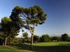 Alcanada Golf Mallorca Boom Green