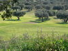 Alferini Golf Spanje Costa Del Sol Green.JPG