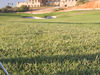 Amendoeira Golf Resort Appartementen Vanaf Golfbaan