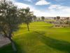 Arabian Ranches Desert Course Golfbaan Dubai Fairway.JPG