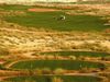 Arabian Ranches Desert Course Golfbaan Dubai Tees