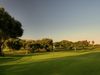Capdepera Golf Mallorca Green Bomen