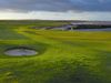 Crail Balcomie Golf Schotland Standrews Green 3.tiff