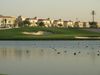 Els Club Golfbaan Dubai Hole 7