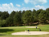 Frankrijik Noordfrankrijk Golfbaan Belledune Golfer Bunkerslag