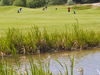 Frankrijik Noordfrankrijk Golfbaan Belledune Vijver Fairway Golfers