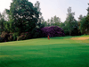 Frankrijk Noordfrankrijk Golfbaan Champdebataille Green Rodos.tif