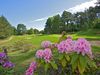 Frankrijk Noordfrankrijk Golfbaan Hardelotlespins Bloemen Green