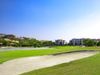 Golf_extra_feb_2025 6