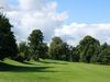 Haddington Golf Schotland Edinburgh Bomen.JPG