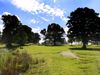 Haddington Golf Schotland Edinburgh Brug.JPG