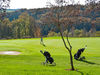 Hotel Du Golf Clervaux Luxemburg Golfer