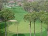 Kaya Golf Turkije Belek Green.JPG