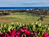 Lanzarote Golf 3