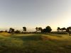 Maioris Golf Mallorca Bomen Green
