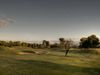 Maioris Golf Mallorca Green Bomen