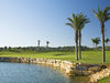Oconnor Golf Portugal Algarve Stenen Boom