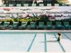 Octantpraiaverde_pool 17