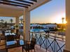 Olive_tree_terrace_1
