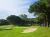 Platja De Pals Golf Spanje Costa Brava Green Bomen.tif