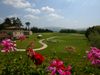 Poggio Dei Medici Golf Italie Toscane Bloemen.JPG