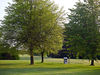 Rigenee Golfbaan Belgie Brussel Bomen