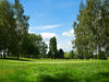 Rigenee Golfbaan Belgie Brussel Rough Green