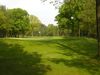 Rinkven Golf Golfbaan Belgie Vlaanderen Green Rough