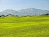 Riviera Golf Resort Italie Golfbaan