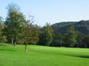 Rougemont Golfbaan Belgie Namen Bossen Green.JPG