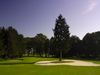 Schloss Luedersberg Old Course Duitsland Noord Duitsland Boom Bunker