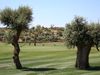 Silves Golf Portugal Algarve Green 11b99f50.JPG