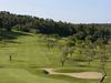 Son Muntaner Golf Mallorca Fairway Green