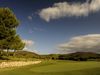 Son Quint Golf Mallorca Green Bomen
