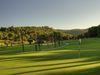 Son Vida Golf Mallorca Green Bomen