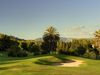 Son Vida Golf Mallorca Palmboom Green