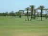 Sotogrande Golf Spanje Costa Del Sol Fairways.JPG