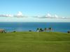 Tecina Golf Tenerife Green Zee.JPG