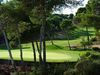 Val Dor Golf Mallorca Fairway Green