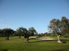Vale Da Pinta Golf Portugal Algarve Bomen.JPG