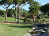 Vila Sol Golf Portugal Algarve Brug.JPG